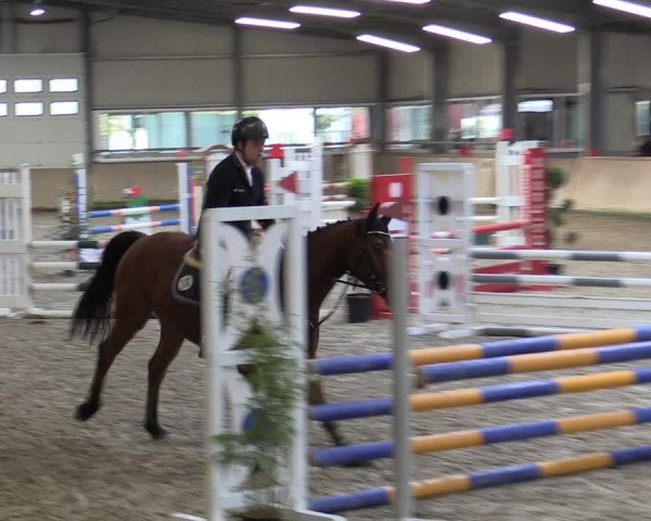 Reitturnier Ahaus 2022