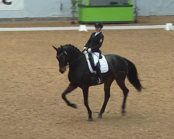 Reitturnier Kreuth/Opf. 2022