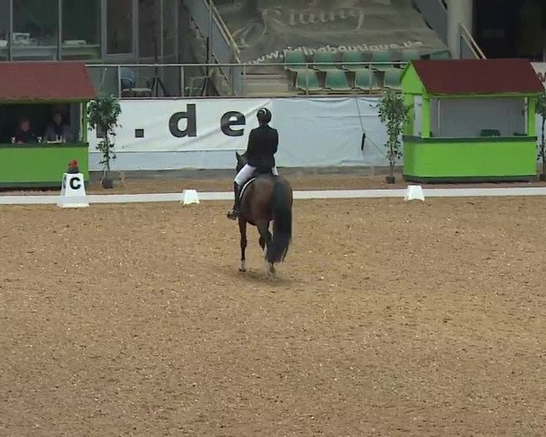 Reitturnier Kreuth/Opf. 2022