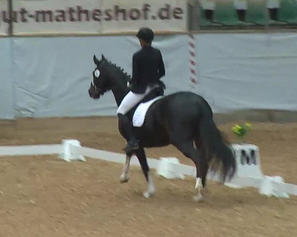 Reitturnier Kreuth/Opf. 2022