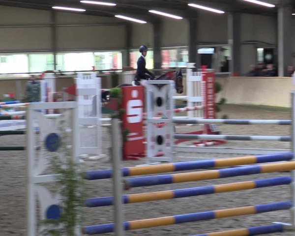 Reitturnier Ahaus 2022