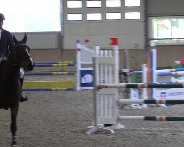 Reitturnier Ahaus 2022
