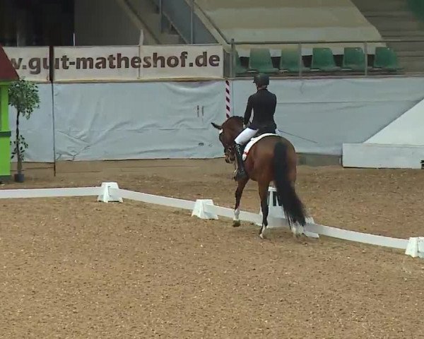 Reitturnier Kreuth/Opf. 2022