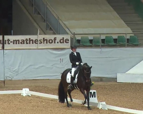 Reitturnier Kreuth/Opf. 2022