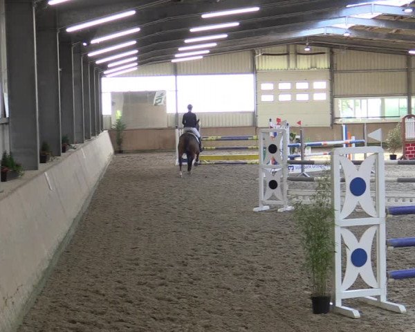 Reitturnier Ahaus 2022