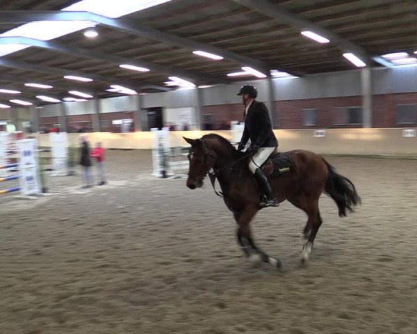 Reitturnier Ahaus 2022