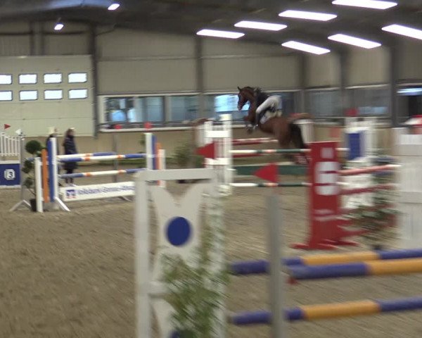 Reitturnier Ahaus 2022