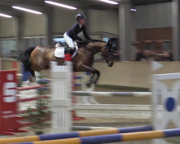 Reitturnier Ahaus 2022