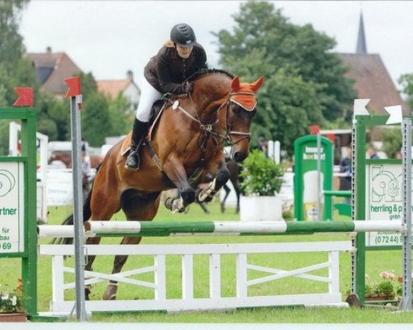jumper Morinio (Hessian Warmblood, 2002, from Mohr)