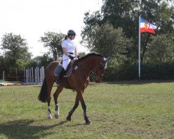 Dressurpferd Formidable (Westfale, 1998, von Ferragamo)