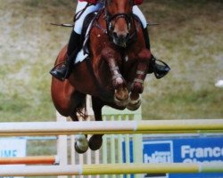 broodmare Diva 410 (Hanoverian, 1999, from Diagonal)