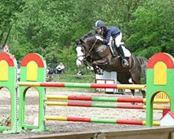 jumper Diva 422 (German Riding Pony, 2000, from Nobeless)