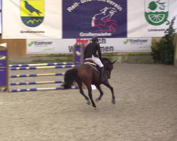 Reitturnier Großenwiehe 2022