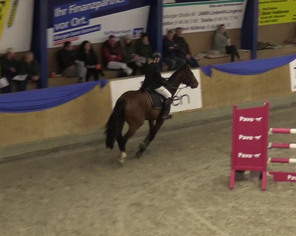 Reitturnier Großenwiehe 2022