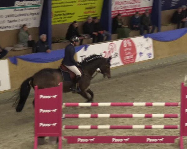 Reitturnier Großenwiehe 2022