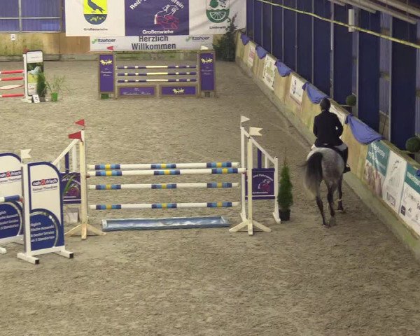 Reitturnier Großenwiehe 2022
