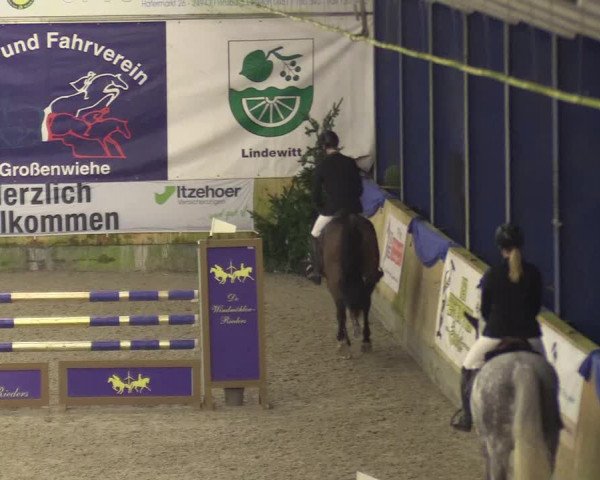 Reitturnier Großenwiehe 2022