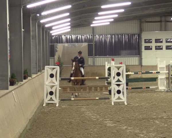 Reitturnier Ahaus 2022