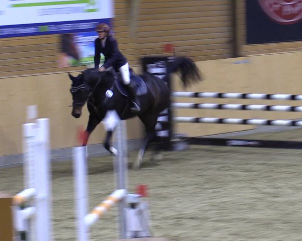 Reitturnier Paderborn 2022