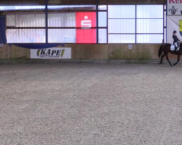 Reitturnier Großenwiehe 2022