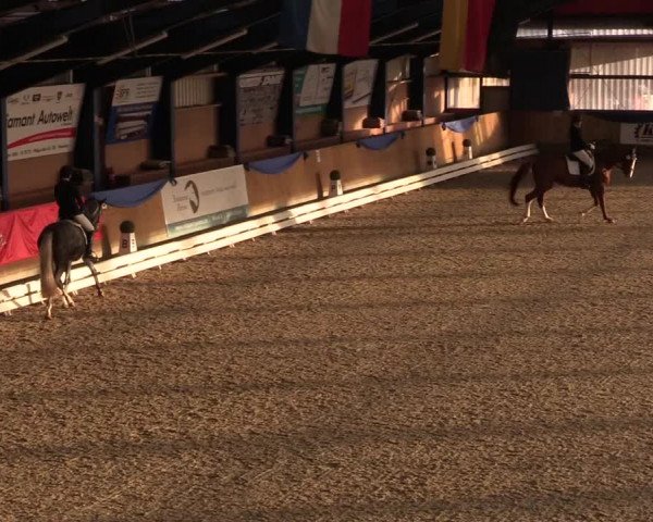 Reitturnier Großenwiehe 2022