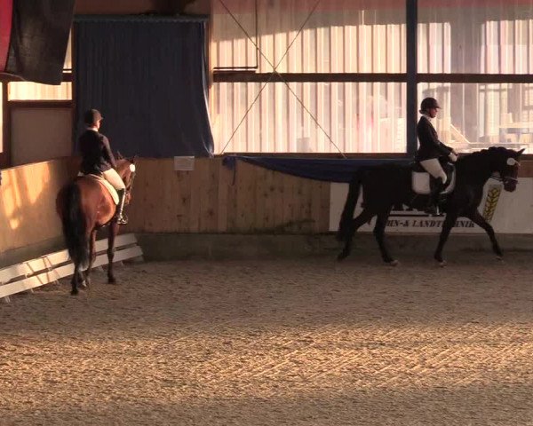 Reitturnier Großenwiehe 2022