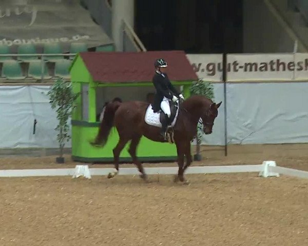 Reitturnier Kreuth/Opf. 2022