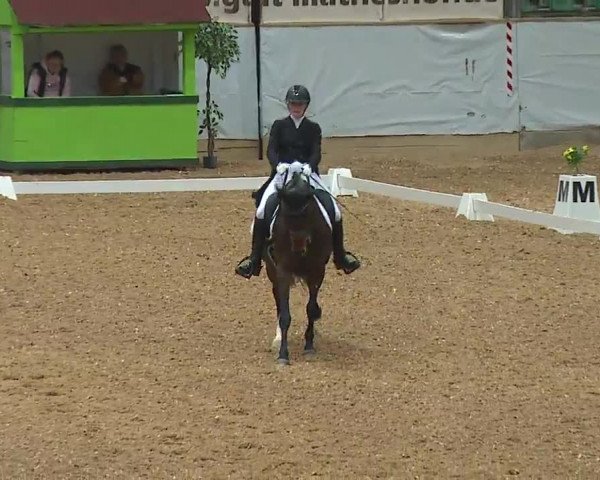 Reitturnier Kreuth/Opf. 2022