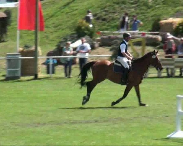 Springpferd Eskaparde (Mecklenburger, 2000, von Ex Libris Son)