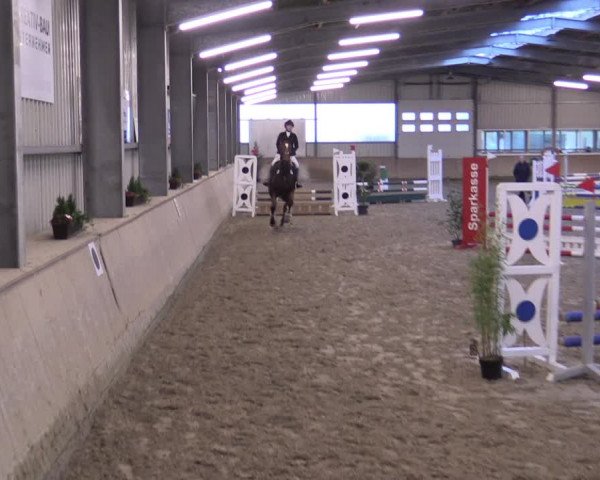 Reitturnier Ahaus 2022