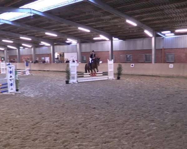 Reitturnier Ahaus 2022