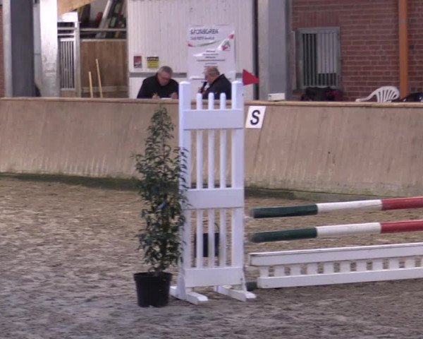 Reitturnier Ahaus 2022