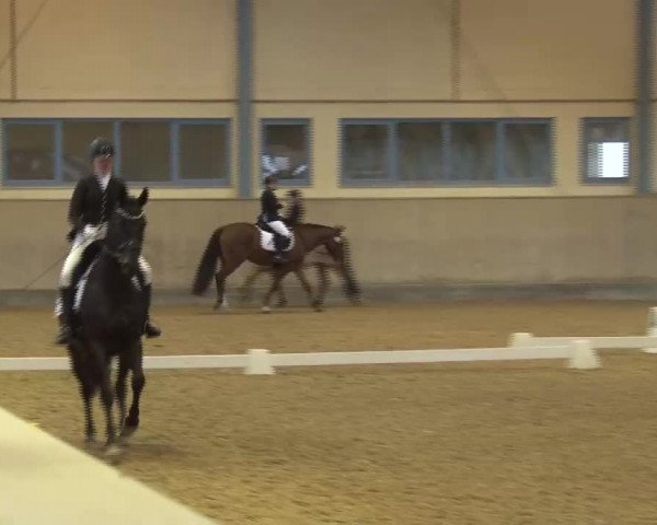 Reitturnier Kreuth/Opf. 2022