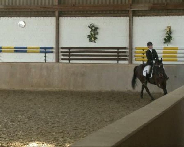 dressage horse Maybellin Kaa (Westphalian, 2000, from Montmartre)