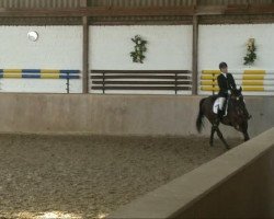 dressage horse Maybellin Kaa (Westphalian, 2000, from Montmartre)