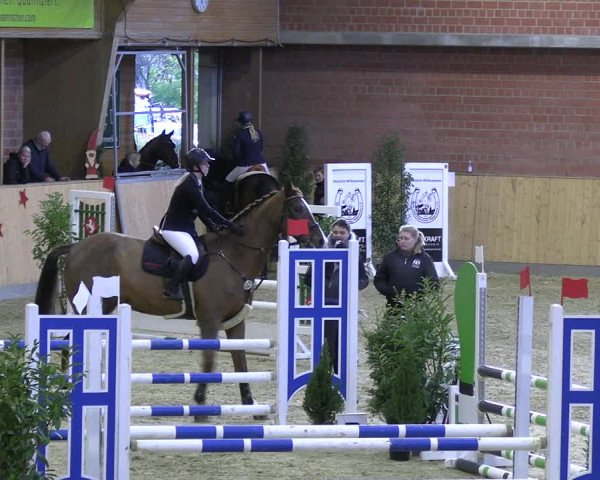 Reitturnier Paderborn 2022