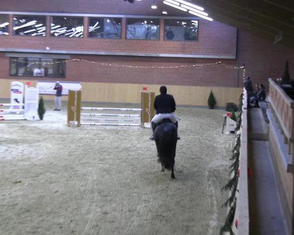 Reitturnier Paderborn 2022