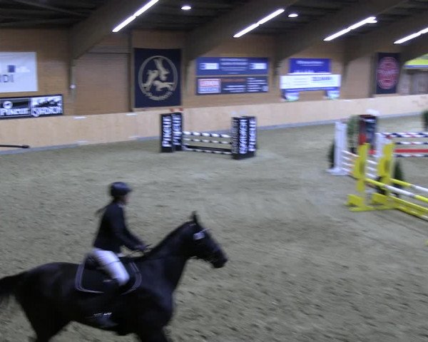 Reitturnier Paderborn 2022