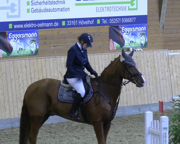 Reitturnier Paderborn 2022