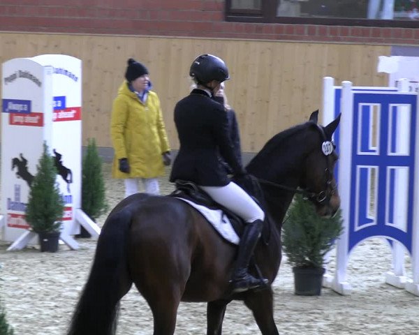 Reitturnier Paderborn 2022