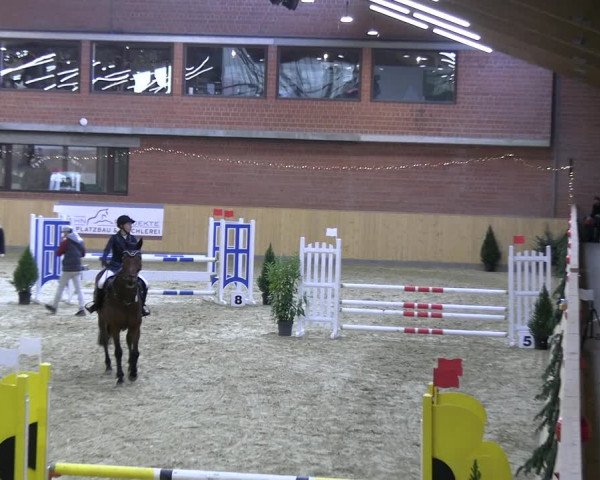 Reitturnier Paderborn 2022
