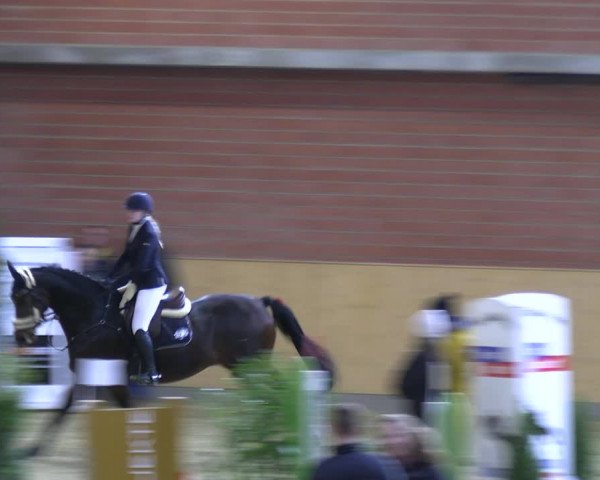 Reitturnier Paderborn 2022