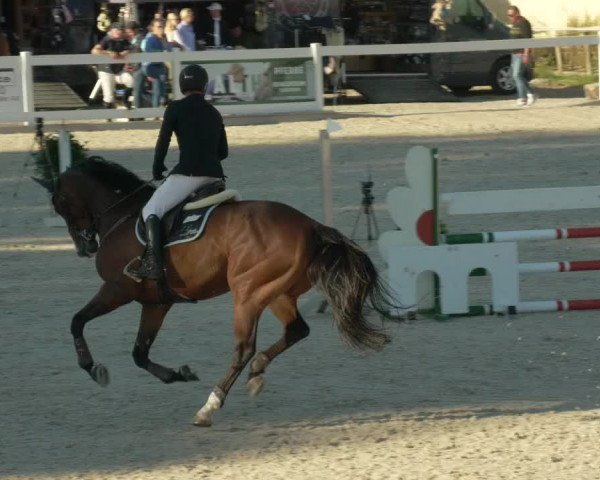 Springturnier Memmingen 2021