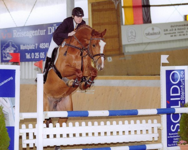 jumper Louie le beau (Westphalian, 2005, from Lissabon 29)