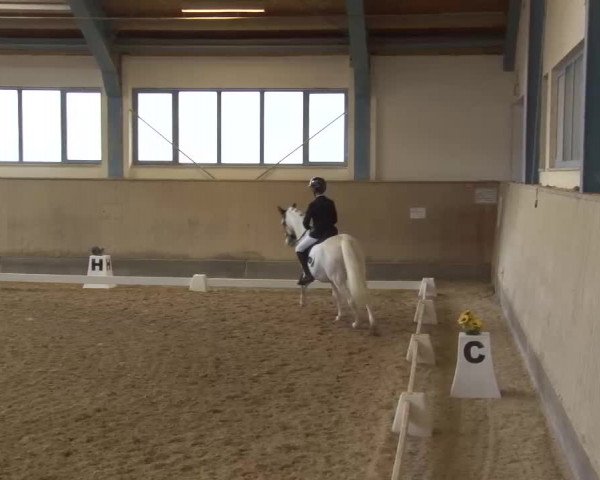 Reitturnier Kreuth/Opf. 2022