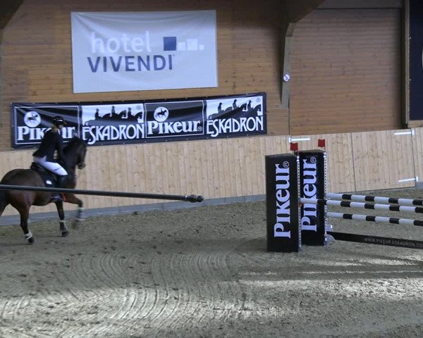 Reitturnier Paderborn 2022