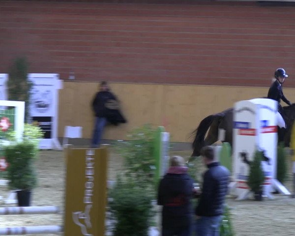 Reitturnier Paderborn 2022
