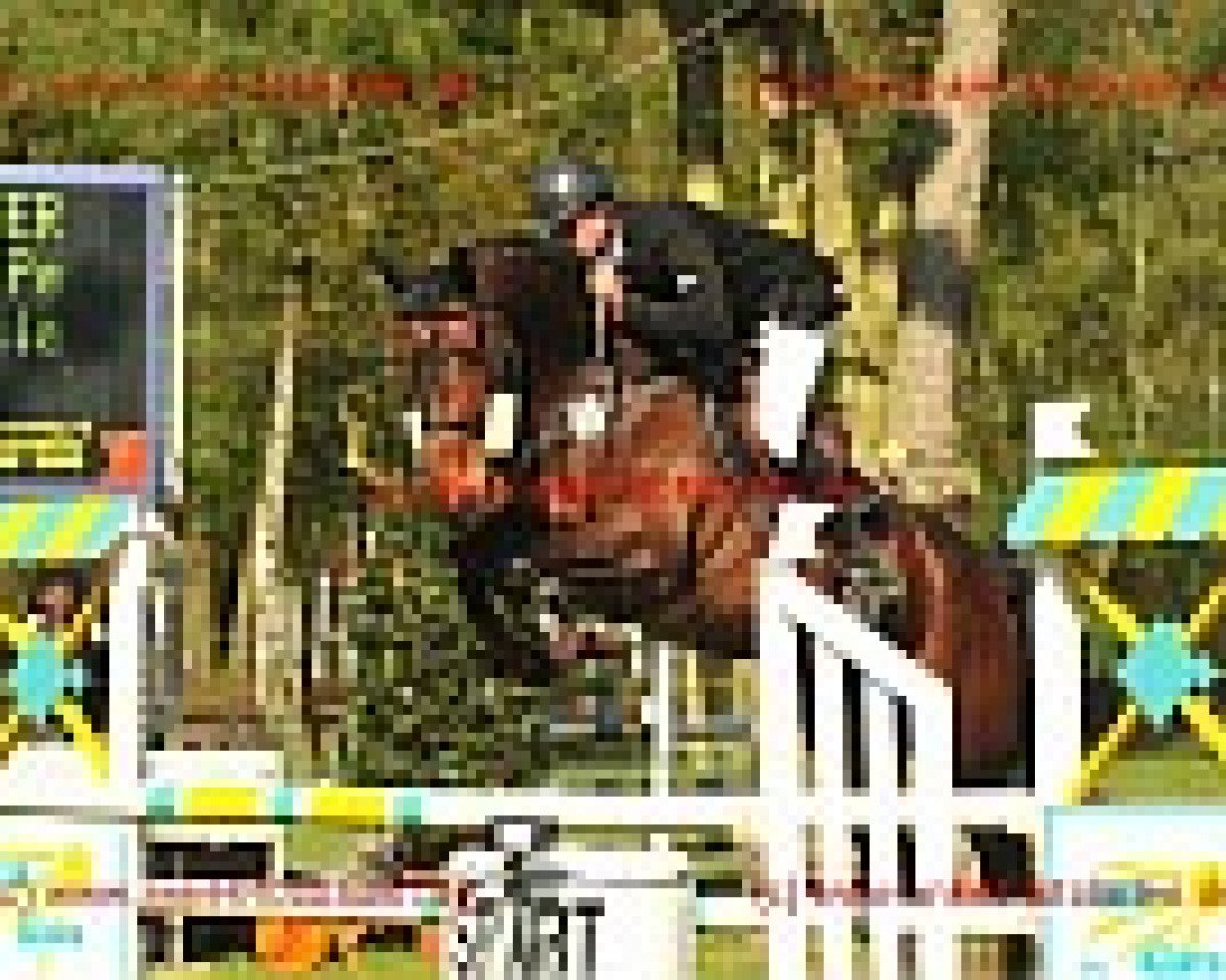 horse Freenet (Rhinelander, 2005, from Fiders Legat)