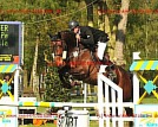 horse Freenet (Rhinelander, 2005, from Fiders Legat)