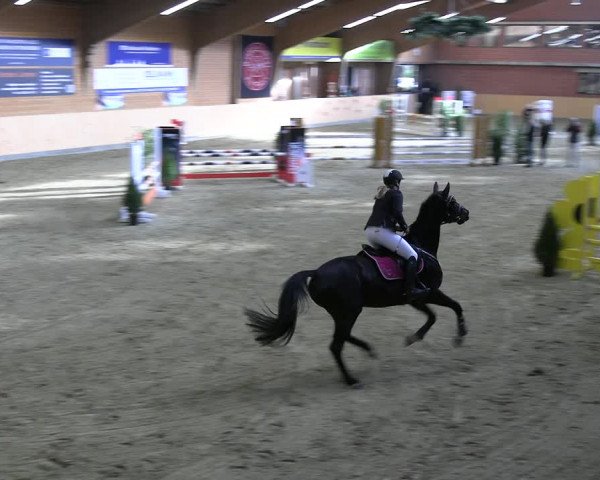 Reitturnier Paderborn 2022